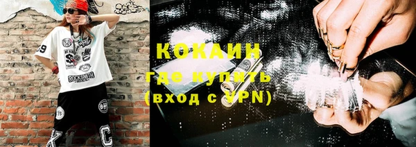шишки Дмитров