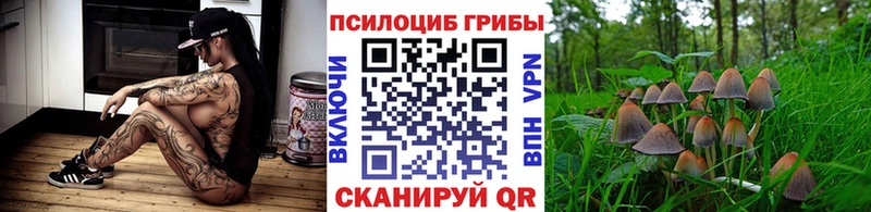 наркотики  Краснодар  Псилоцибиновые грибы мицелий 