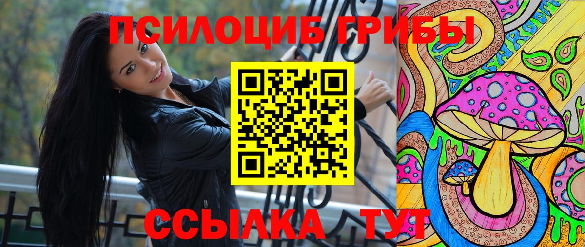 Псилоцибиновые грибы GOLDEN TEACHER Краснодар