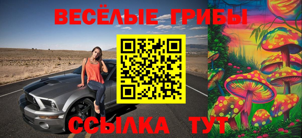 Галлюциногенные грибы Magic Shrooms  Псилоцибиновые грибы Magic Shrooms  Краснодар  Вход с VPN 